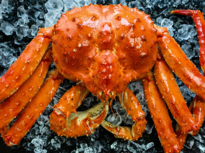 Red King crabs